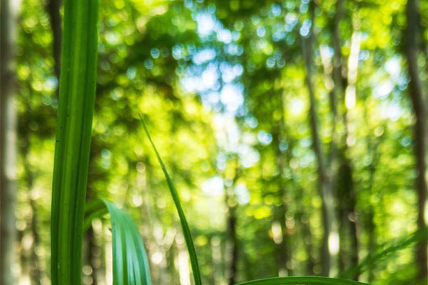 能耗監(jiān)測系統(tǒng)的系統(tǒng)開發(fā)需求之系統(tǒng)性能需求！