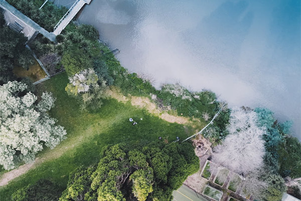 ?焦化行業(yè)碳達(dá)峰碳中和行動方案發(fā)布，這幾點(diǎn)值得關(guān)注！